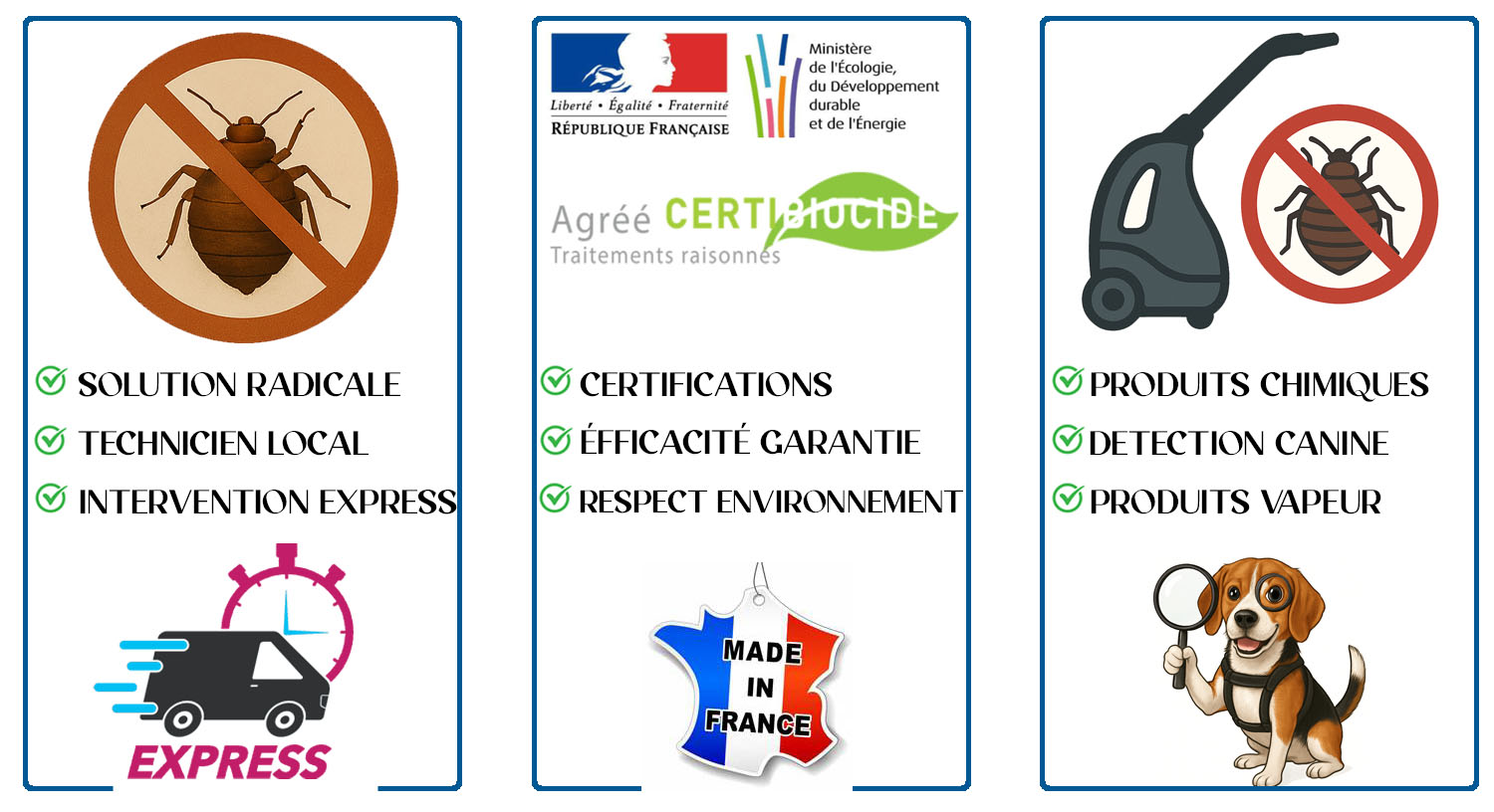 Punaises de Lit Gentilly