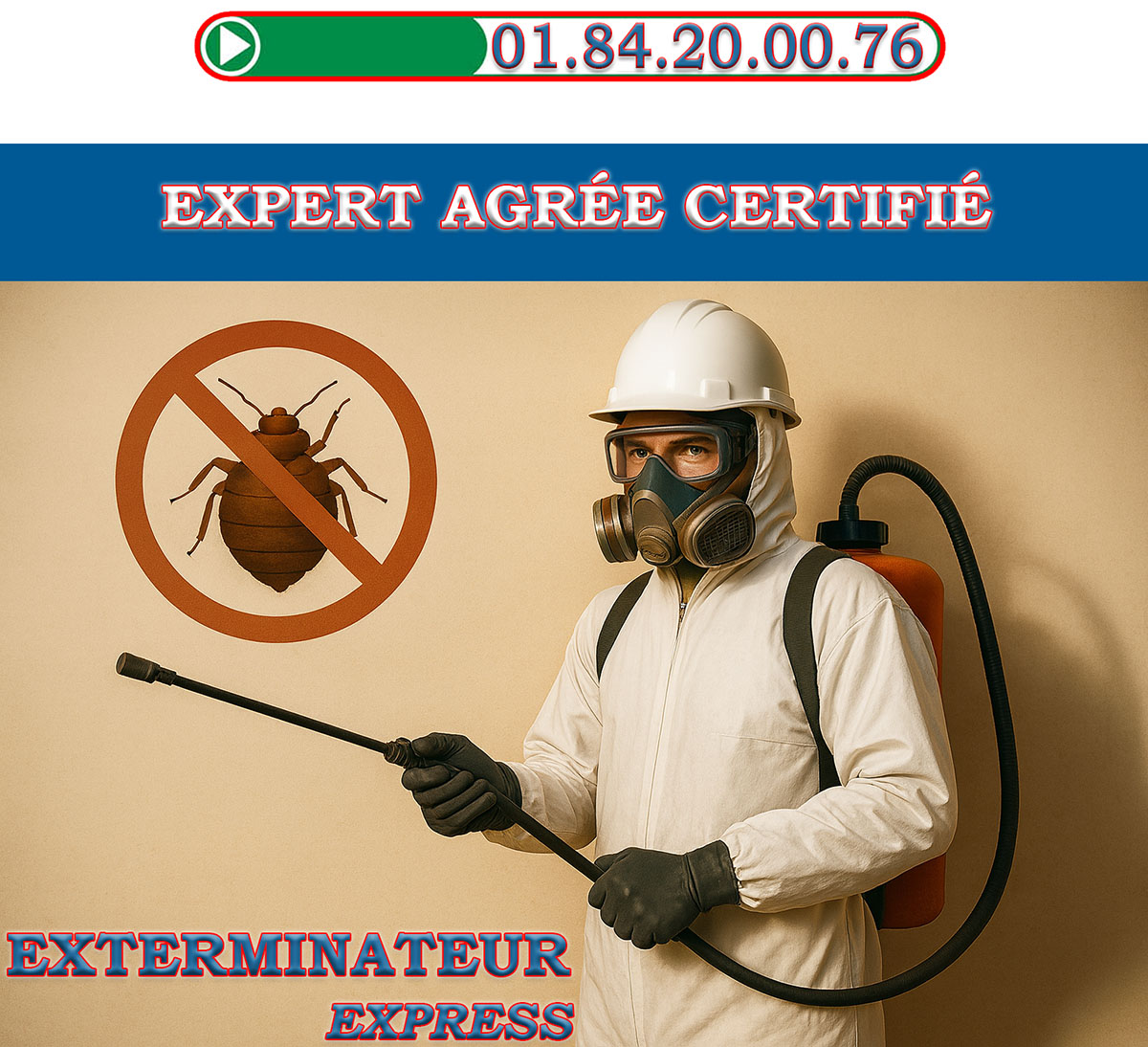 Punaises de Lit Gentilly